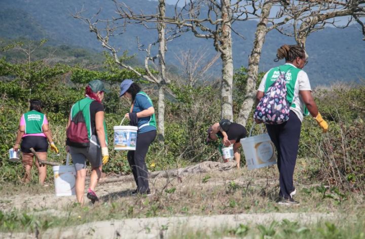 Voluntários durante mutirão de limpeza na Praia do Costão, em Peruíbe — Divulgação/Prefeitura de Peruíbe